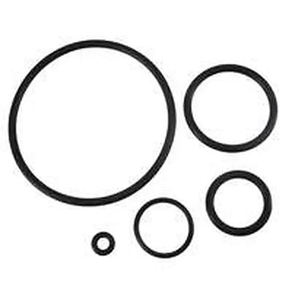 Rada gasket set VR shower head