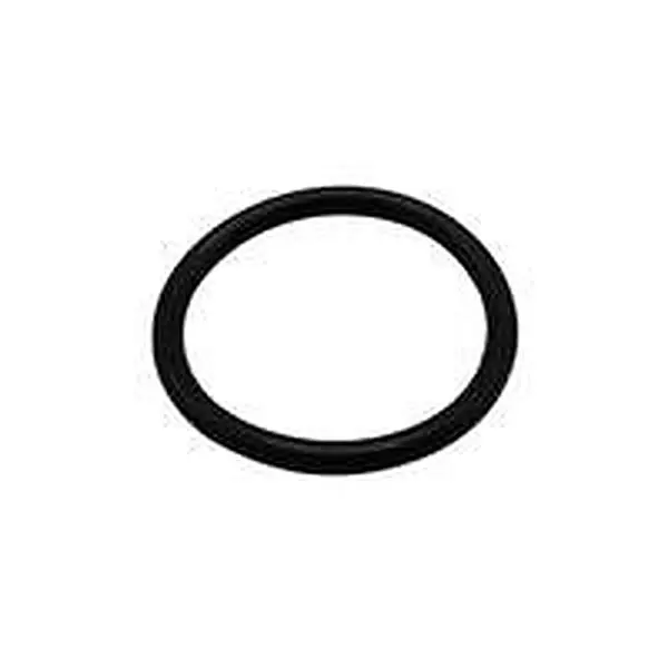 Remeha O-ring 25.07 x 2.62