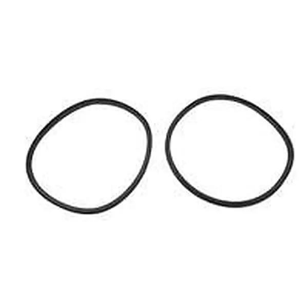 Remeha sealing ring 1 lip 150 2 pcs