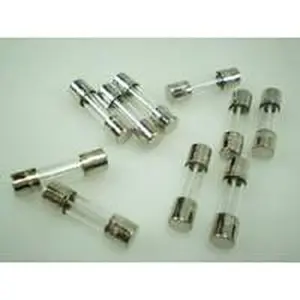 Remeha glaszekering 4A traag 10 stuks