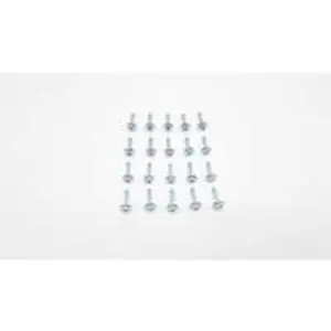 Remeha screw M5 x 20 mm (20 pcs)