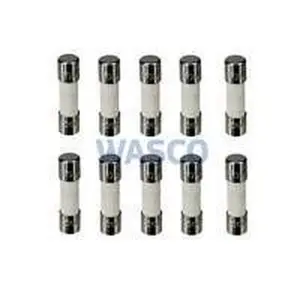 Nefit zekering 5 AF/230V 10 stuks oud nummer: 7099473 voor TopLine en TrendLine e.a.