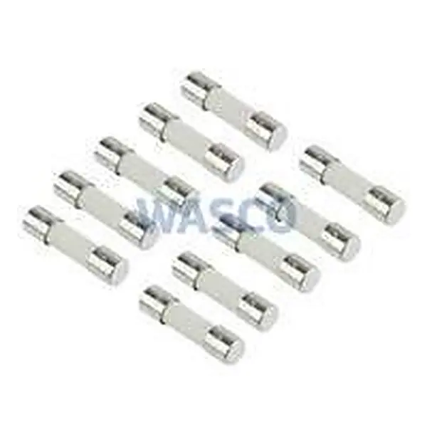 Nefit fuse 2,5AT for Proline 10 pcs