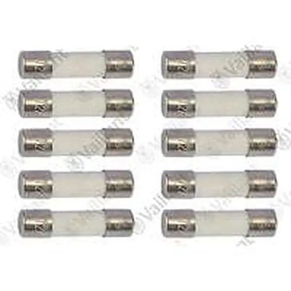 Vaillant fuse (10 pcs)