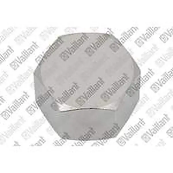 Vaillant cap for e.g. uniSTOR VIH RW 200/2 B 147399