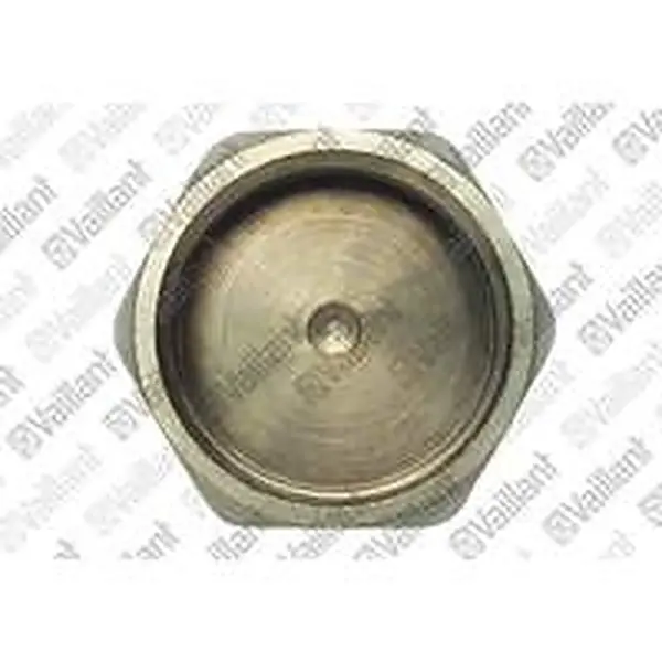 Vaillant plug 3/4