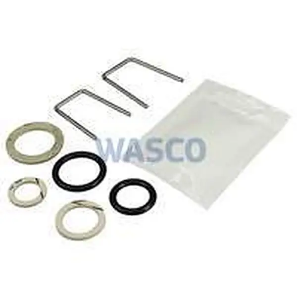 Vaillant retaining spring set with O-ring