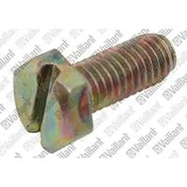 Vaillant screw M6x15