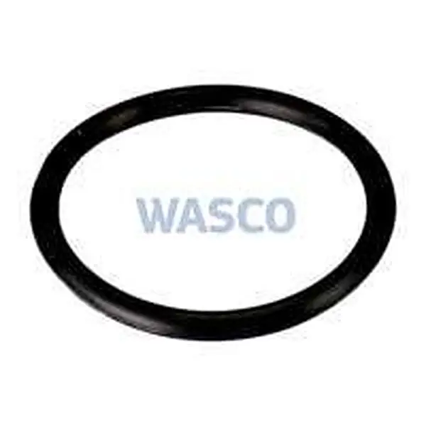 Intergas O-ring R20 x 2 mm