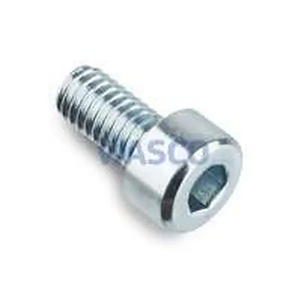 Intergas hex socket screw M4 x 8 mm