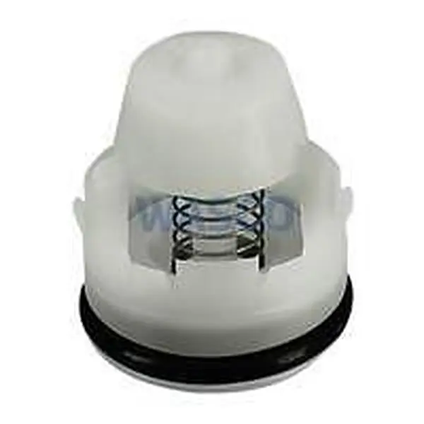 Intergas non-return valve