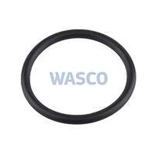 Intergas O-ring 26.65 x 2.62 EPDM