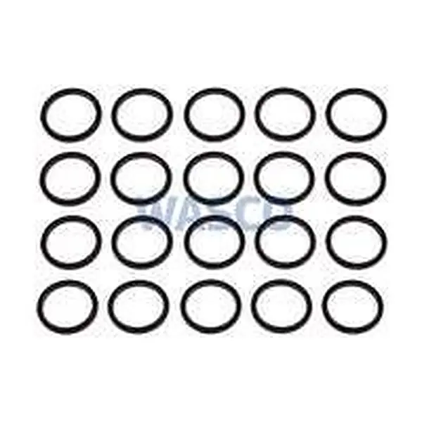 AWB sealing ring 3/4 (set) 20 pcs