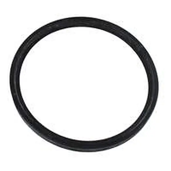 AWB lip seal 80mm for e.g. ThermoElegance Advance 3-A/1 0020038076