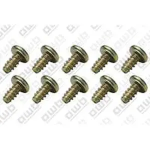 AWB schroef 4,8 x 10 mm 10 stuks