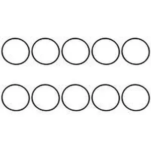 AWB O-ring 10 stuks voor o.a. ThermoGrand 45S 0020079631