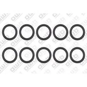 AWB O-ring 10 stuks voor ThermoElegance Advance 6 0020125439