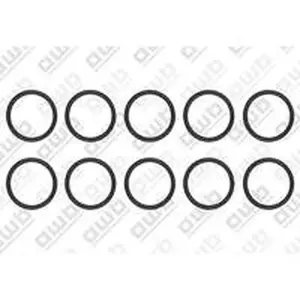 AWB O-ring 10 stuks voor o.a. ThermoElegance Advance 3-A/1 0020097224