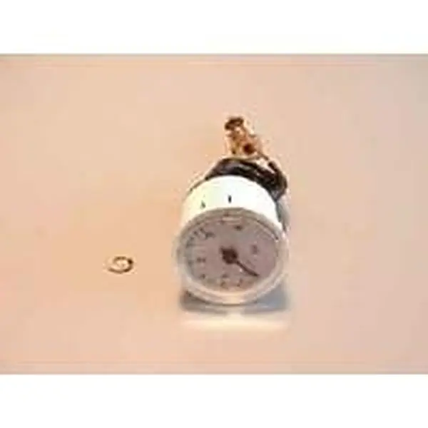 Ferroli pressure gauge Ø=40 mm 0-4 bar