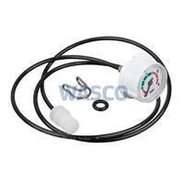 Bosch pressure gauge set