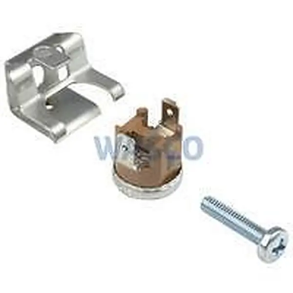 Bosch temperature limiter 110°