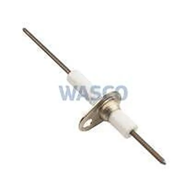 Buderus ionisation electrode