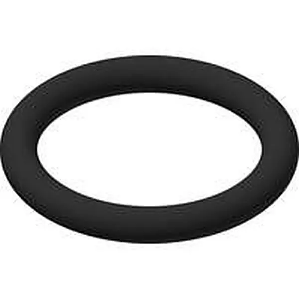 Eco Heating O-ring S032.500.019