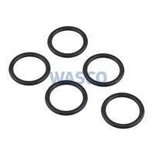 Remeha O-ring water filter