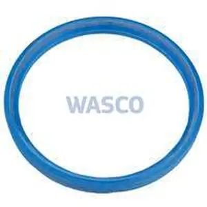 A.O. Smith inspection hatch gasket