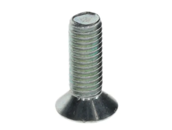 Bosch screw M5x15 (10x)
