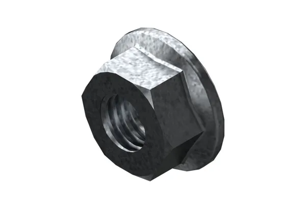 Bosch nut (10x)