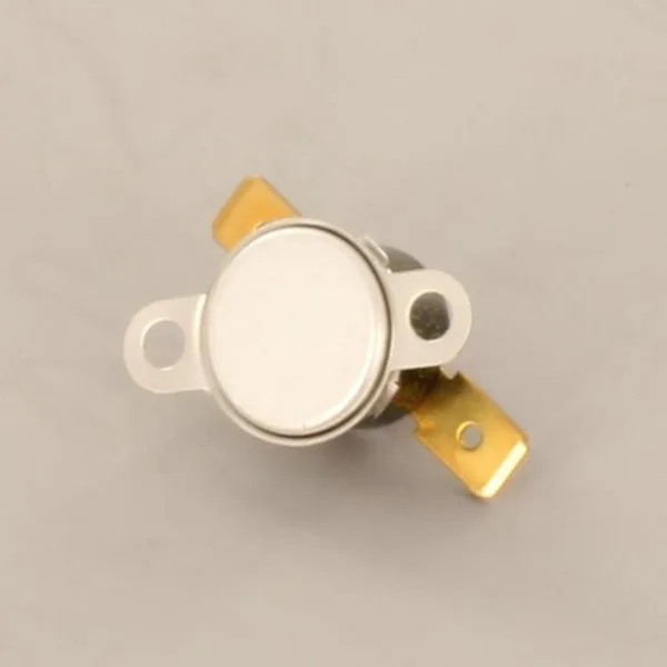 Remeha temperature switch