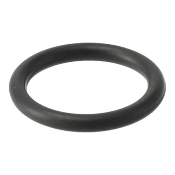 Remeha O-ring 17.13x2.62
