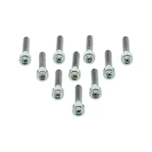 Remeha schroef CHC M5X30/ 22 8.8 ZN8