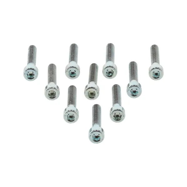 Remeha screw CHC M5X30/22 8.8 ZN8