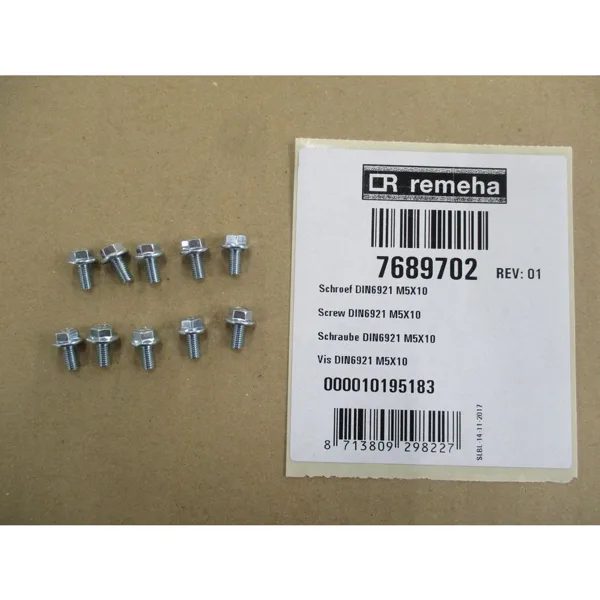 Remeha screw DIN6921 M5x10