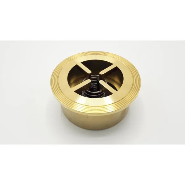 Remeha non-return valve DN50