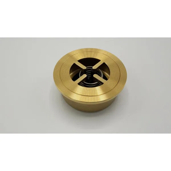 Remeha non-return valve DN40