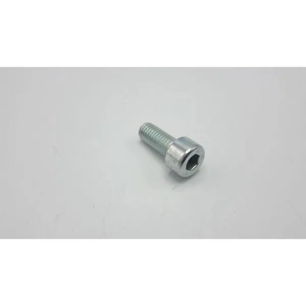 Remeha bolt m8 x 20 mm for e.g. RemaSOL 220/300SE station detail 300028534
