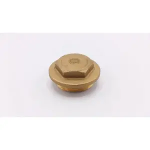 Remeha messing plug 1 1/2 MS (EBW)