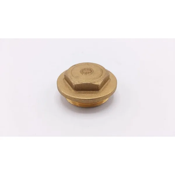 Remeha brass plug 1 1/2 (EBW)