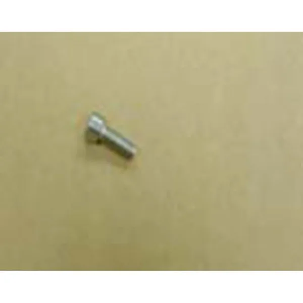 Remeha bolt M6 x 16 mm