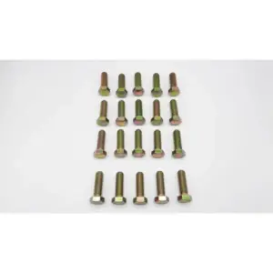 Remeha bout M16 x 50 mm 20 stuks