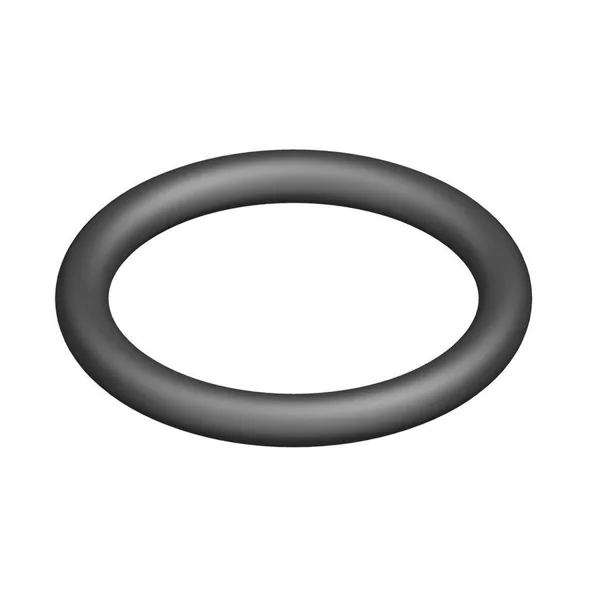 Nefit O-ring 18.7 x 2.7 mm 10 pcs