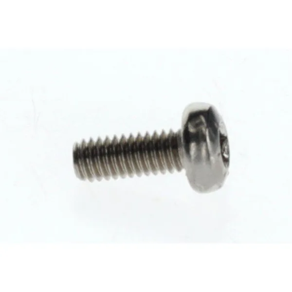 Nefit screw M4 x 10 mm