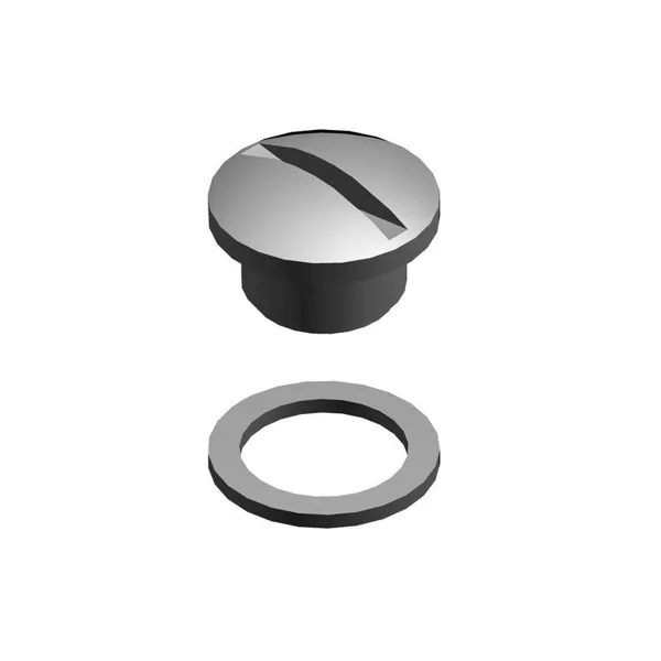 Bosch pressure relief valve/drain screw