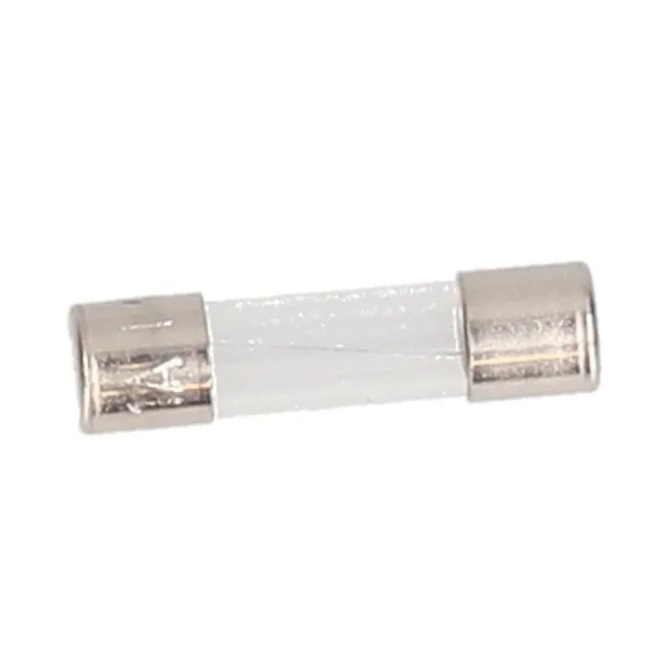 A.O. Smith fuse 1a / 250v 0310099(S)